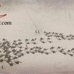 تعريف العقيلات